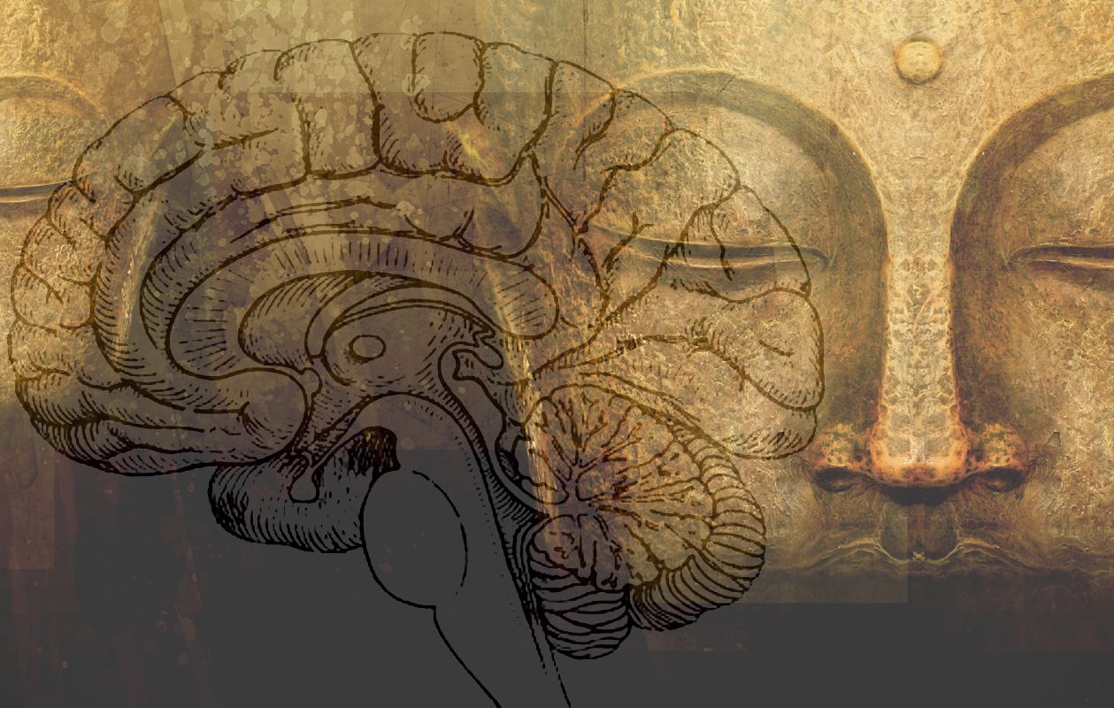 Mindfulness, psicología budista y neurociencia contemplativa